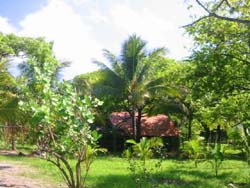 vue maison et playa lagarto costa rica